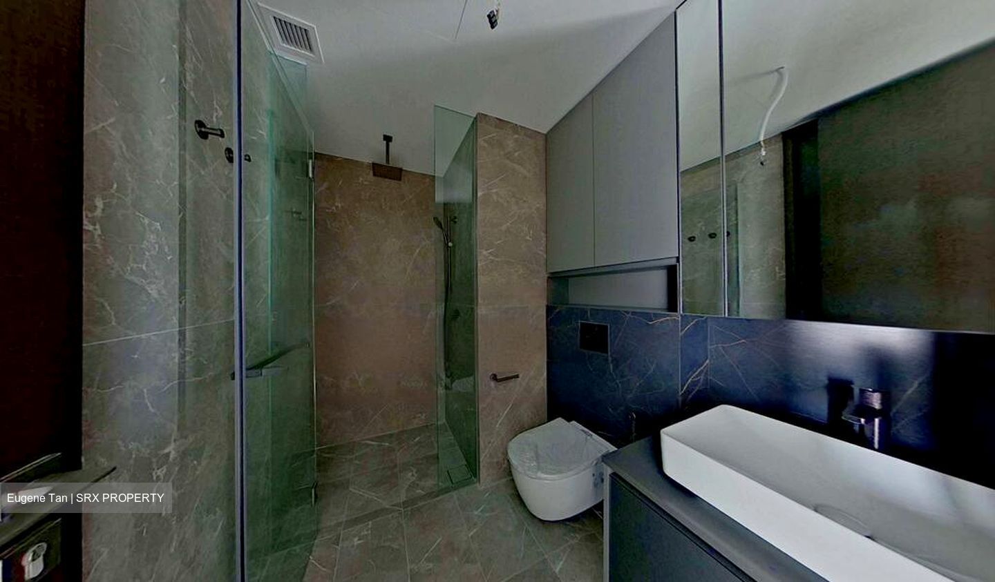 Irwell Hill Residences (D9), Apartment #467673341